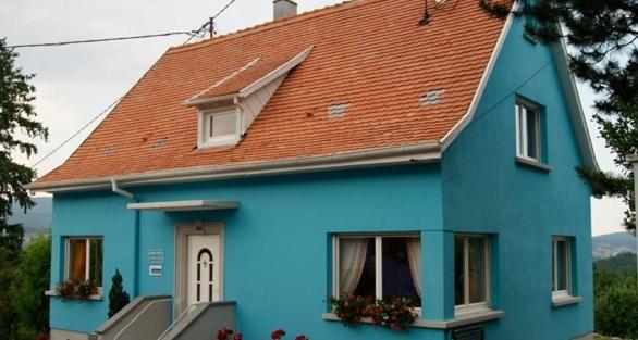 La Maison Bleue Bed & Breakfast Dieffenbach-au-Val Exterior photo
